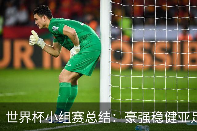 世界杯小组赛总结：豪强稳健亚足联9进2 真正的世界杯才刚开始