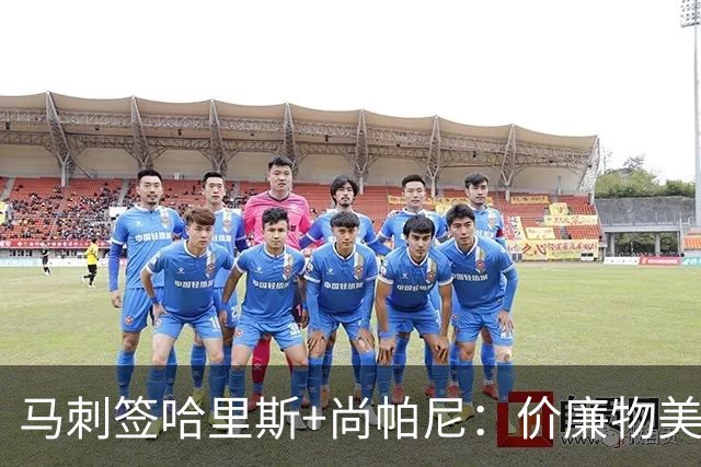 马刺签哈里斯+尚帕尼：价廉物美